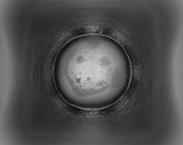 X0000085040961200703051347