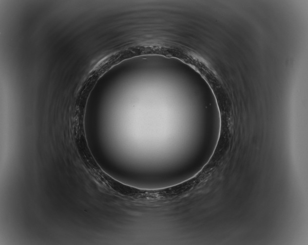X0000085040968200703051347