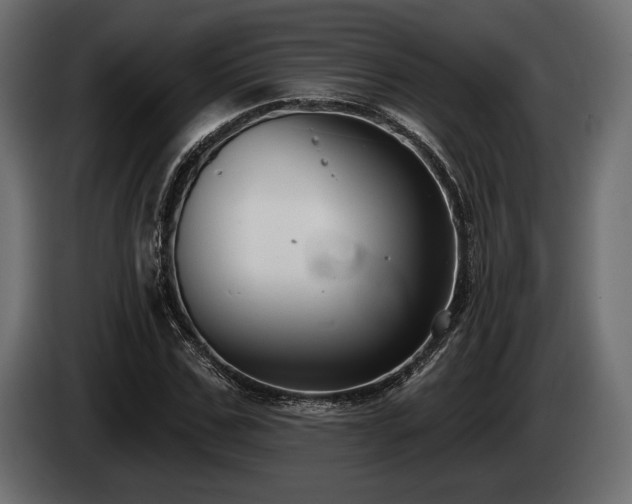 X0000085040971200703051347