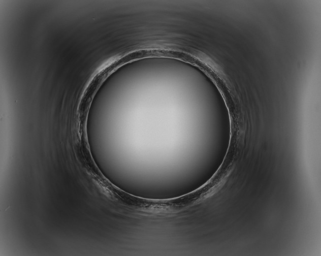 X0000085040974200703051347