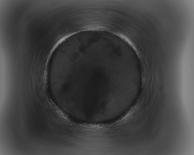 X0000085040975200703051347