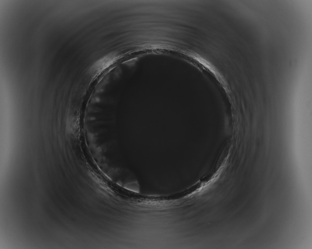 X0000085040977200703051347