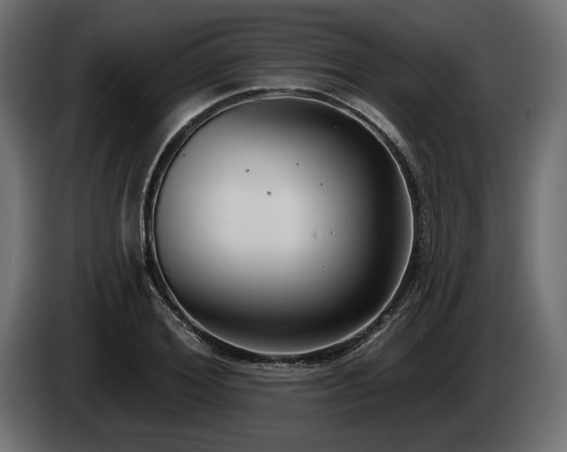 X0000085040980200703051347