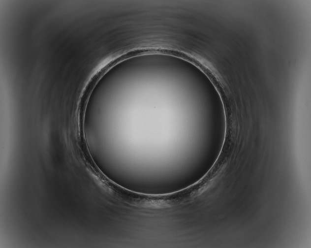 X0000085040982200703051347