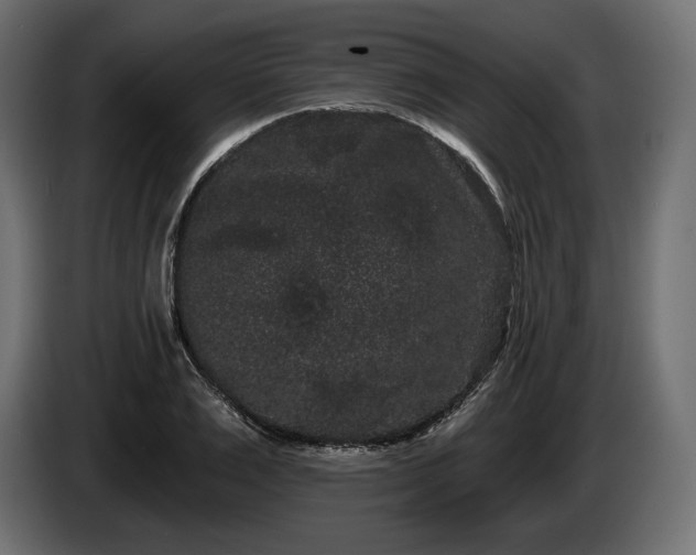 X0000085040983200703051347