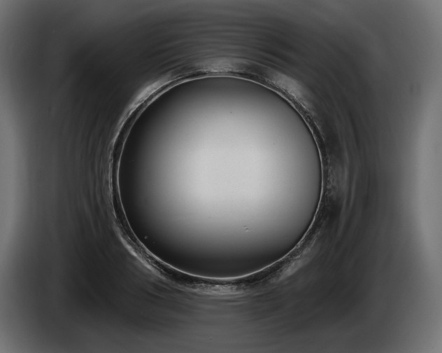 X0000085040986200703051347