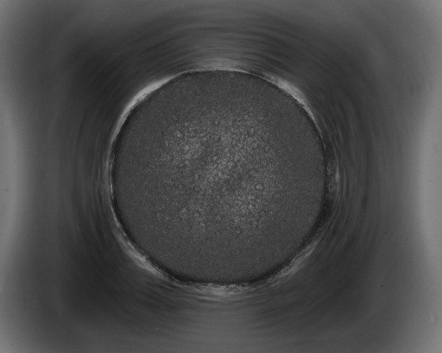 X0000085040987200703051347