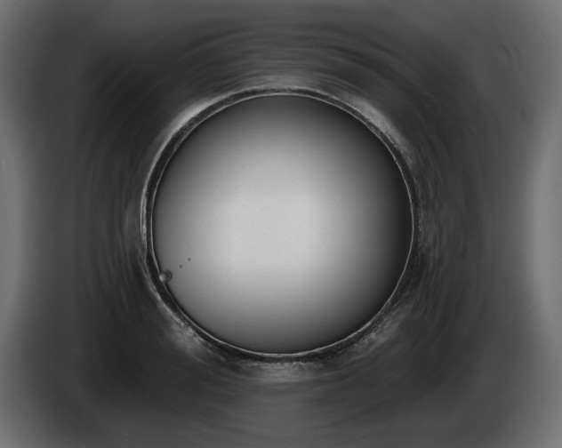X0000085040988200703051347