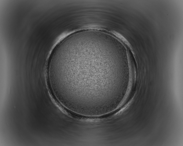 X0000085040989200703051347