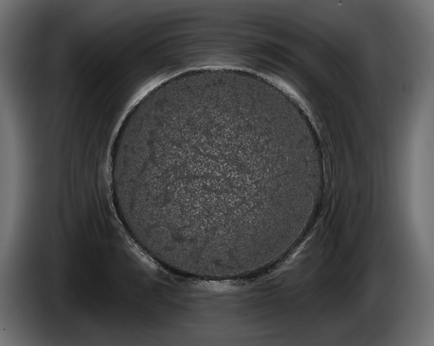 X0000085040990200703051347