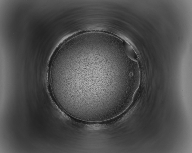 X0000085040992200703051347