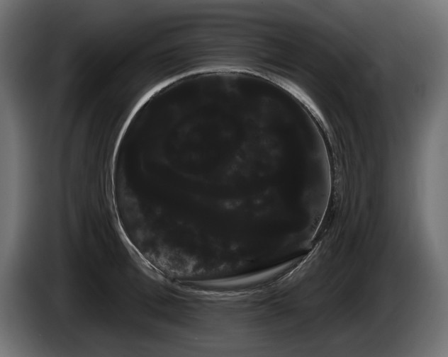 X0000085040996200703051347