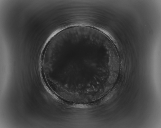 X0000085040998200703051347