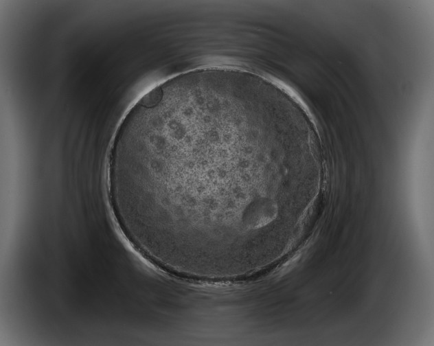 X0000085040999200703051347