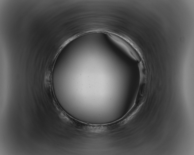 X0000085041001200703051347