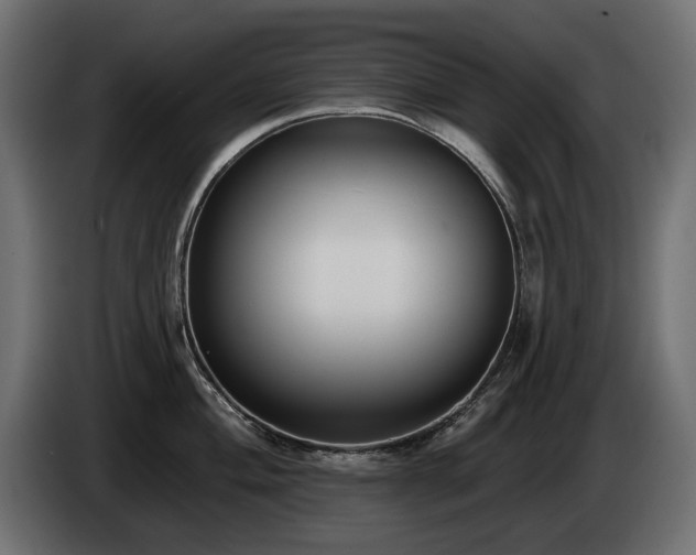 X0000085041004200703051347