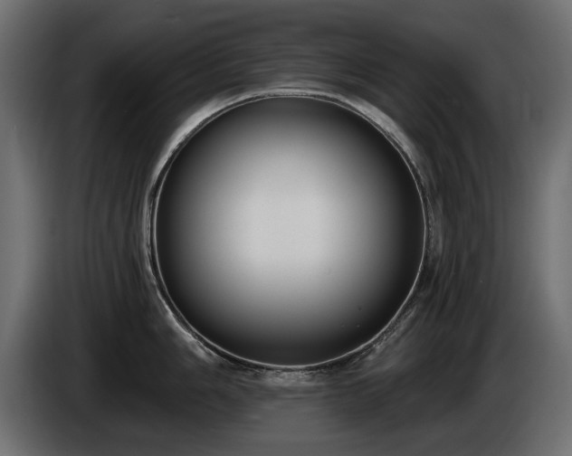 X0000085041006200703051347