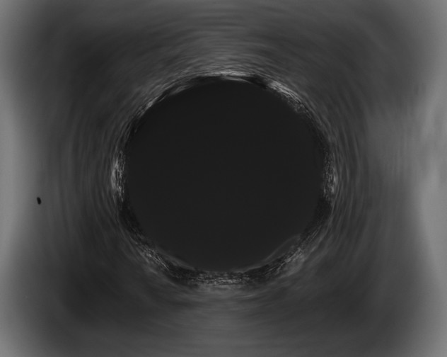 X0000085041010200703051346