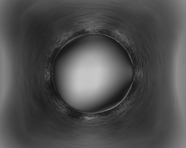 X0000085041012200703051346
