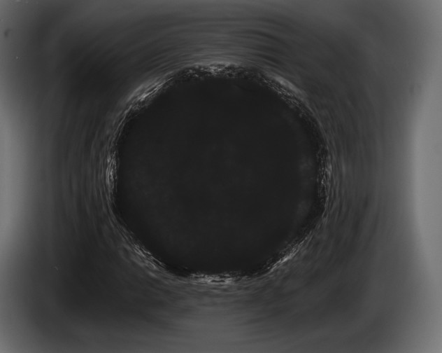 X0000085041014200703051346