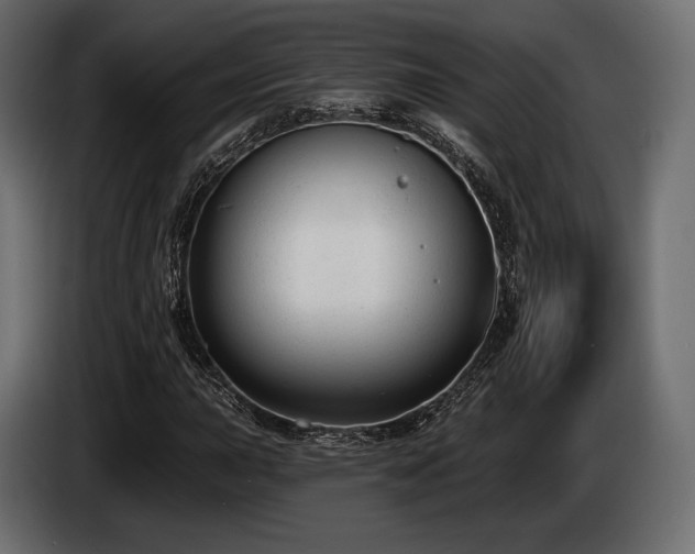X0000085041015200703051346