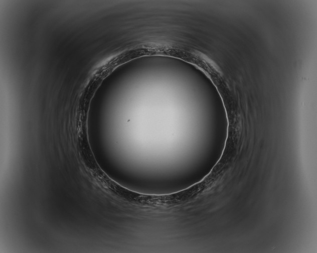 X0000085041016200703051346