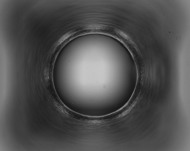 X0000085041017200703051346