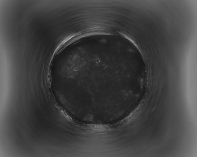 X0000085041018200703051346