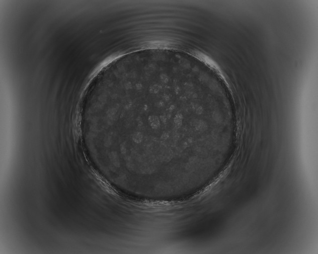 X0000085041019200703051346