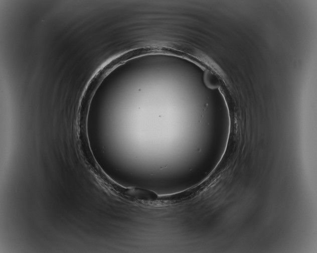 X0000085041020200703051346