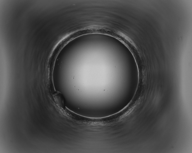 X0000085041021200703051346