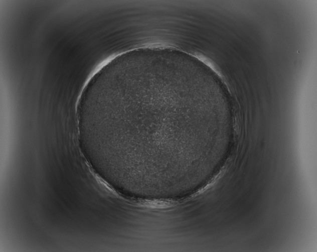 X0000085041022200703051346