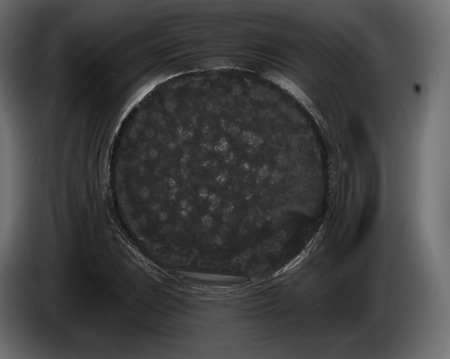 X0000085041023200703051346