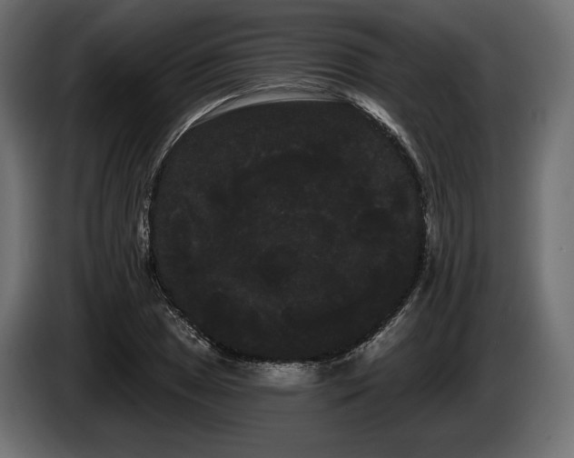X0000085041025200703051346