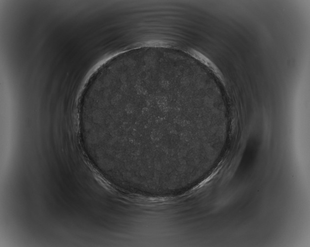X0000085041027200703051346