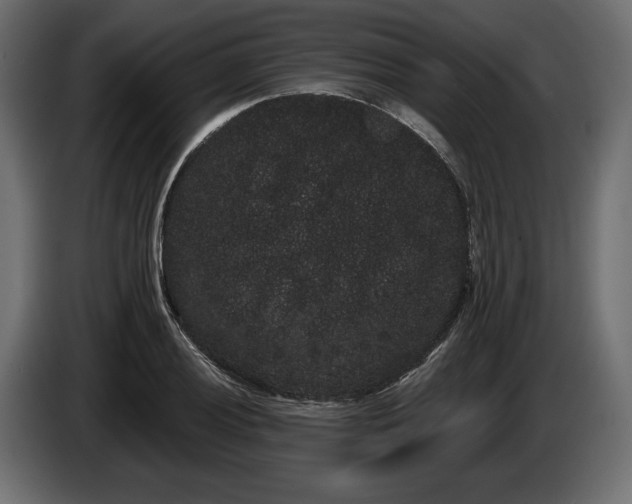 X0000085041028200703051346