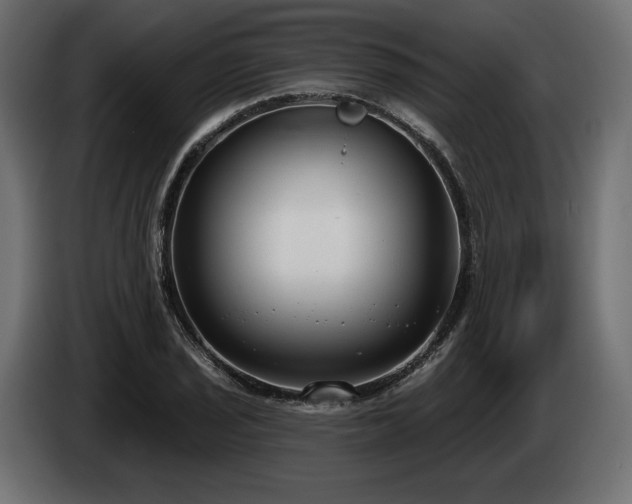 X0000085041029200703051346