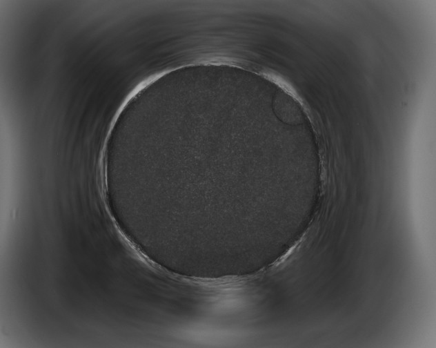 X0000085041032200703051346
