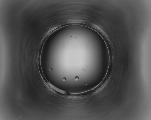 X0000085041033200703051346