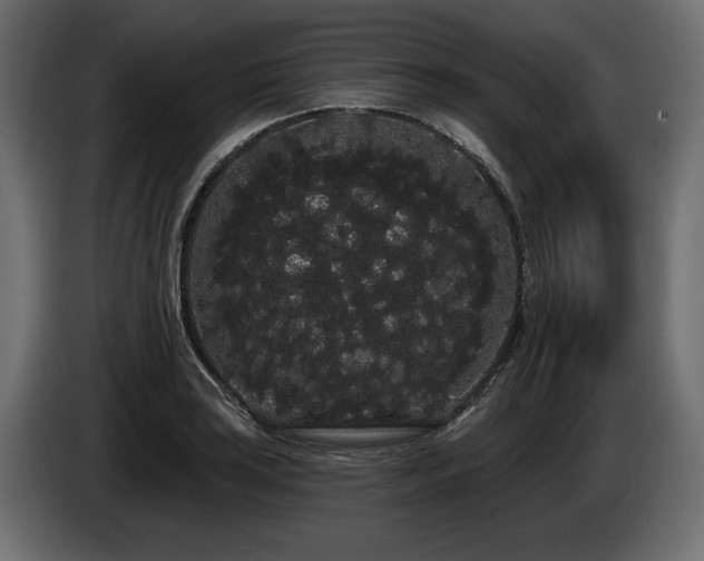 X0000085041035200703051346