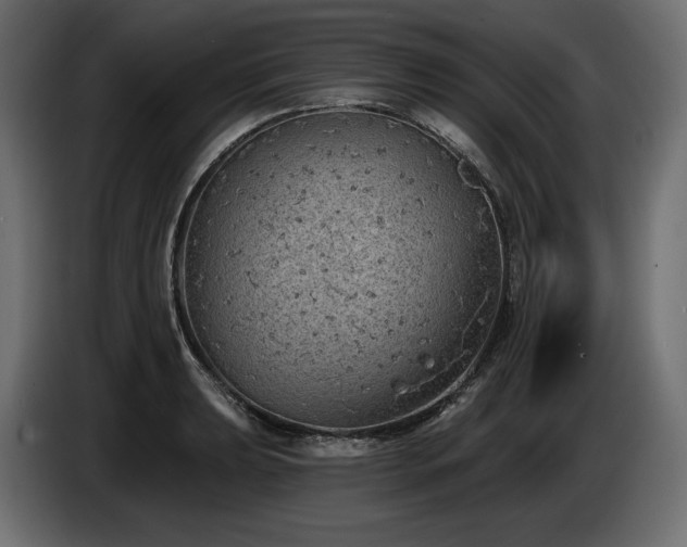 X0000085041039200703051347