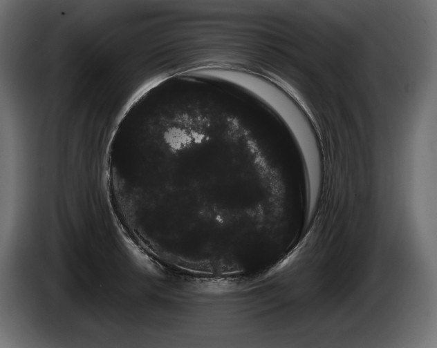 X0000085041042200703051347