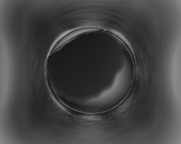 X0000085041045200703051347