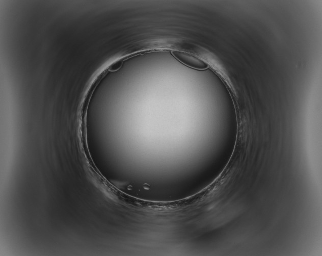 X0000085041051200703051347