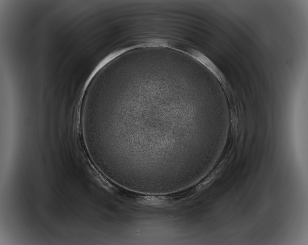 X0000085041052200703051347