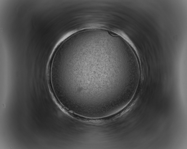 X0000085041053200703051347