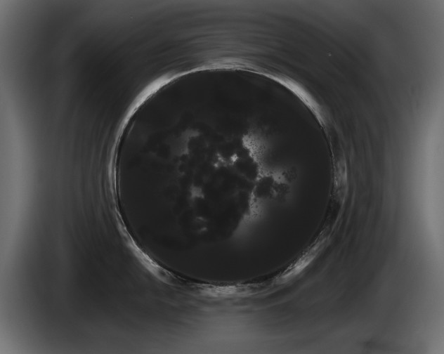 X0000085041054200703051347