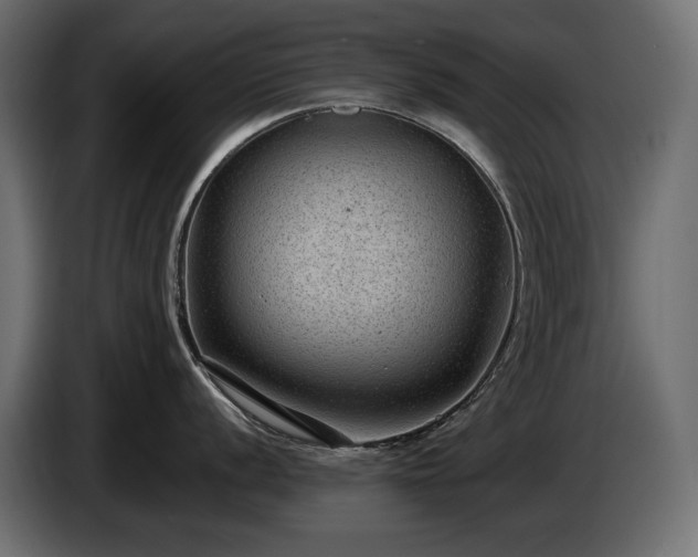 X0000085041056200703051347