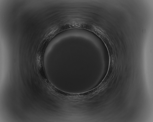 X0000085041060200703051346