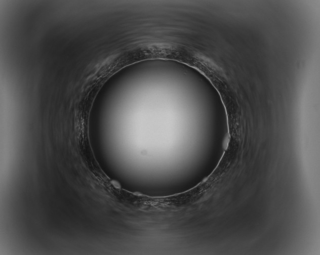 X0000085041061200703051346